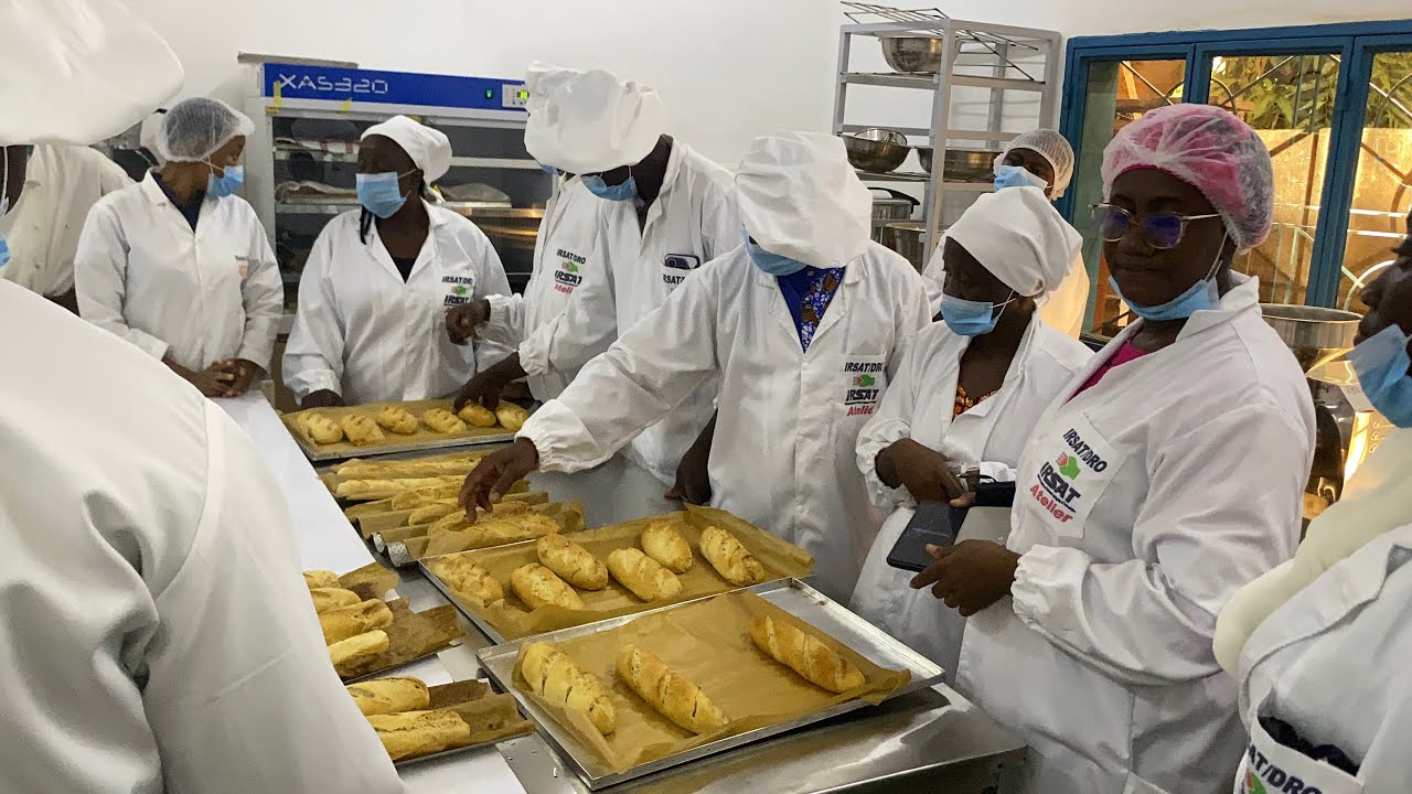 Technologie de production de farine panifiable et de pain à base de  manioc et de PDCO