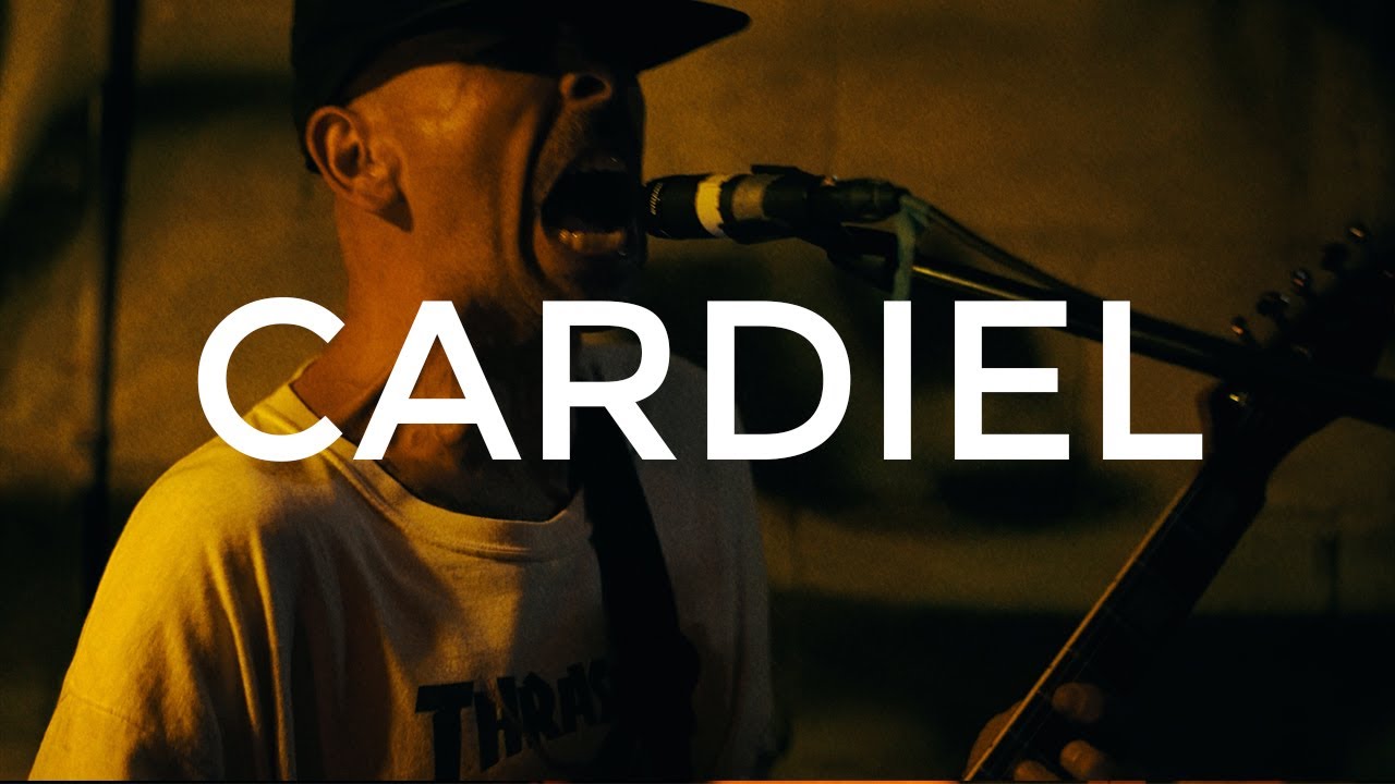 CARDIEL - Control de plaga EN VIVO - Playa del carmen 2022