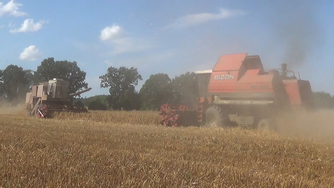 Tradycyjne żniwa Bizon Super i Bizon BS Majestat & dynamika