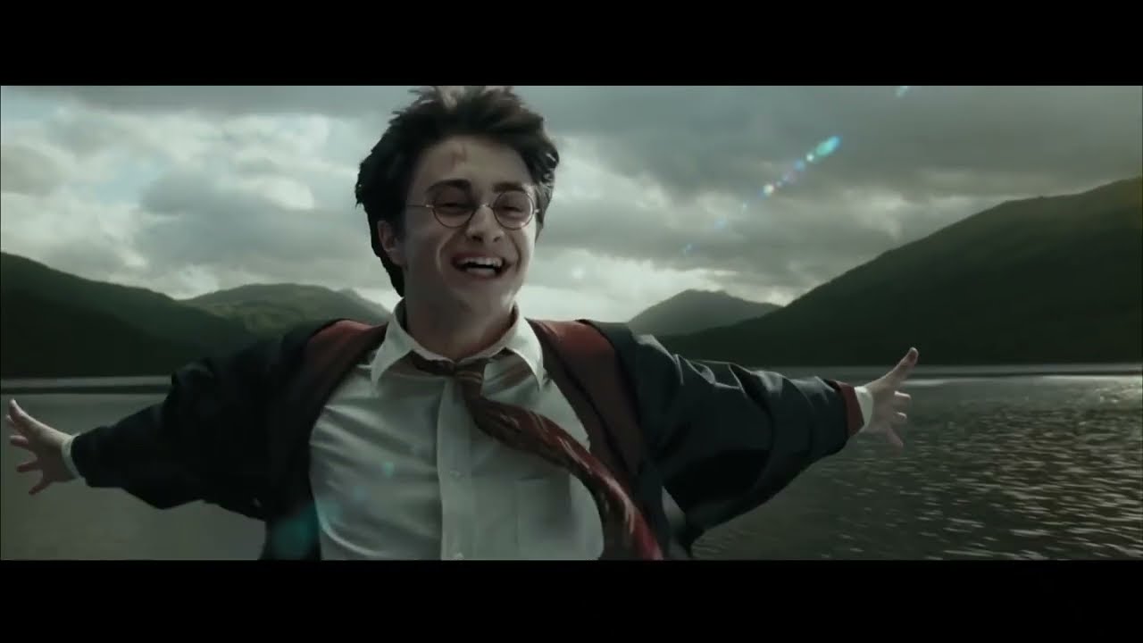 Harry Potter meets Buckbeak without music