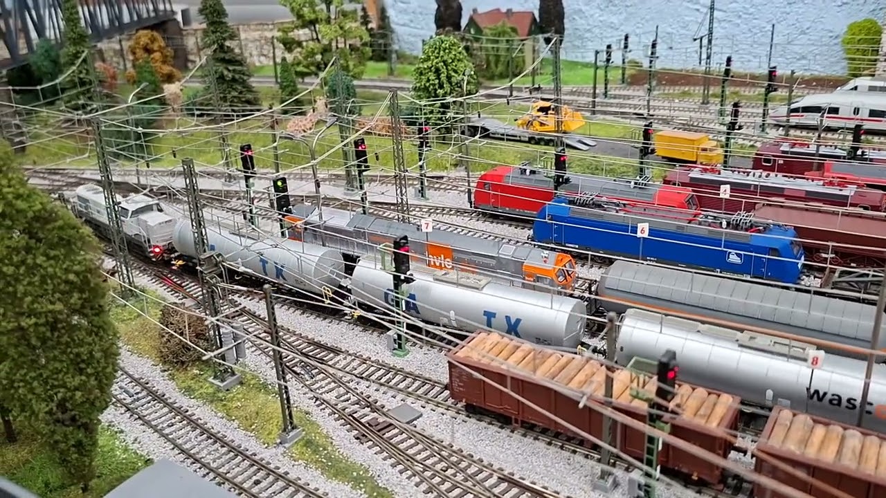 Blue Tiger hvle Spur TT 