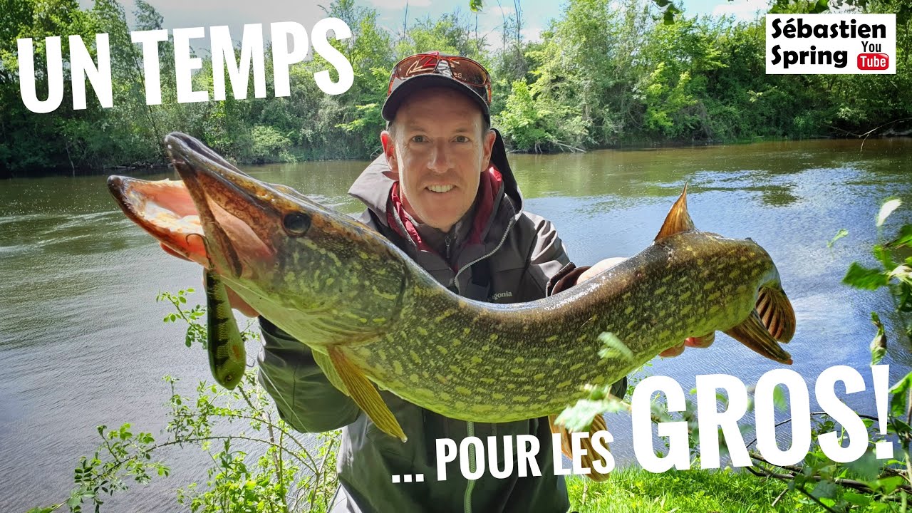 Un TEMPS pour les... GROS!