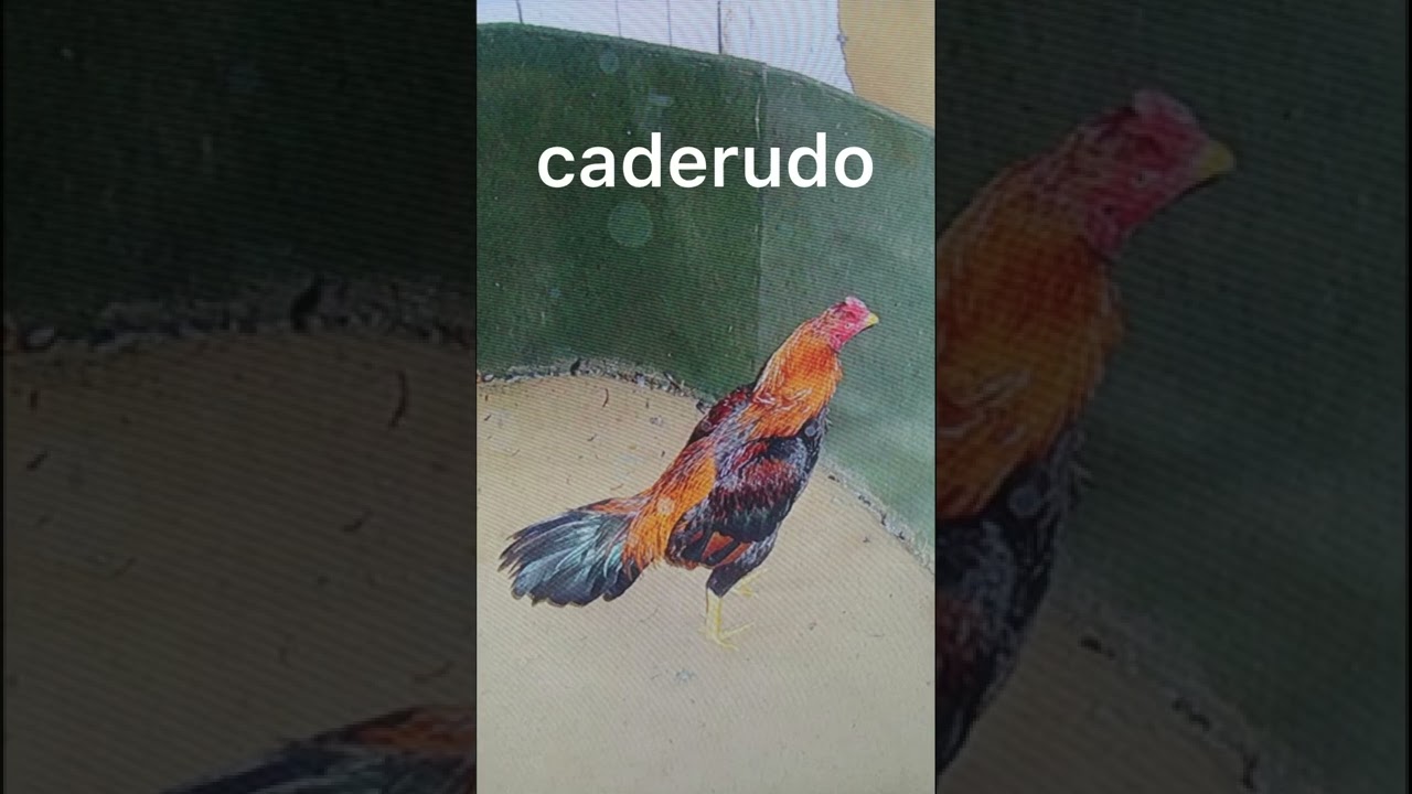 Historia do Caderudo
