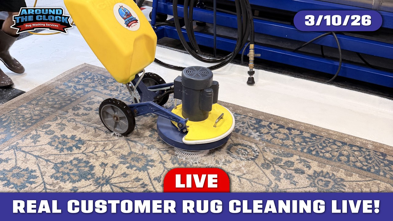 LIVE Rug Washing! #cleanwithme #rugcleaning