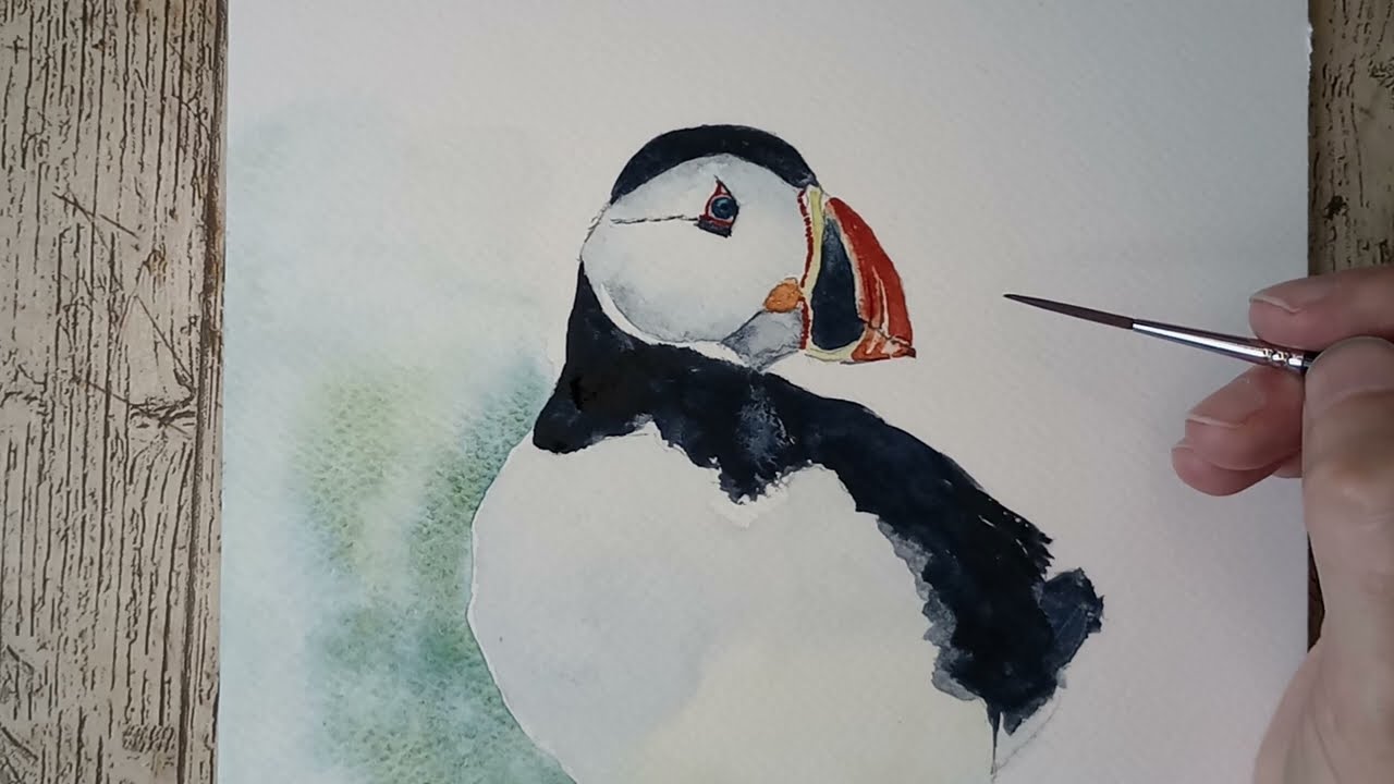 Puffin Watercolour Painting | No Talking, Just Relaxing Music