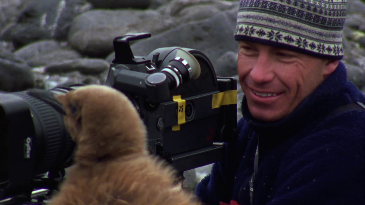 Fantastic 16mm footage of a wildlife cameraman encountering king penguins