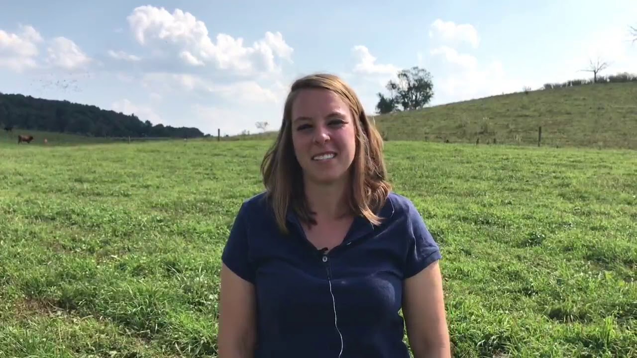 Careers in PA Agriculture - Veterinarian