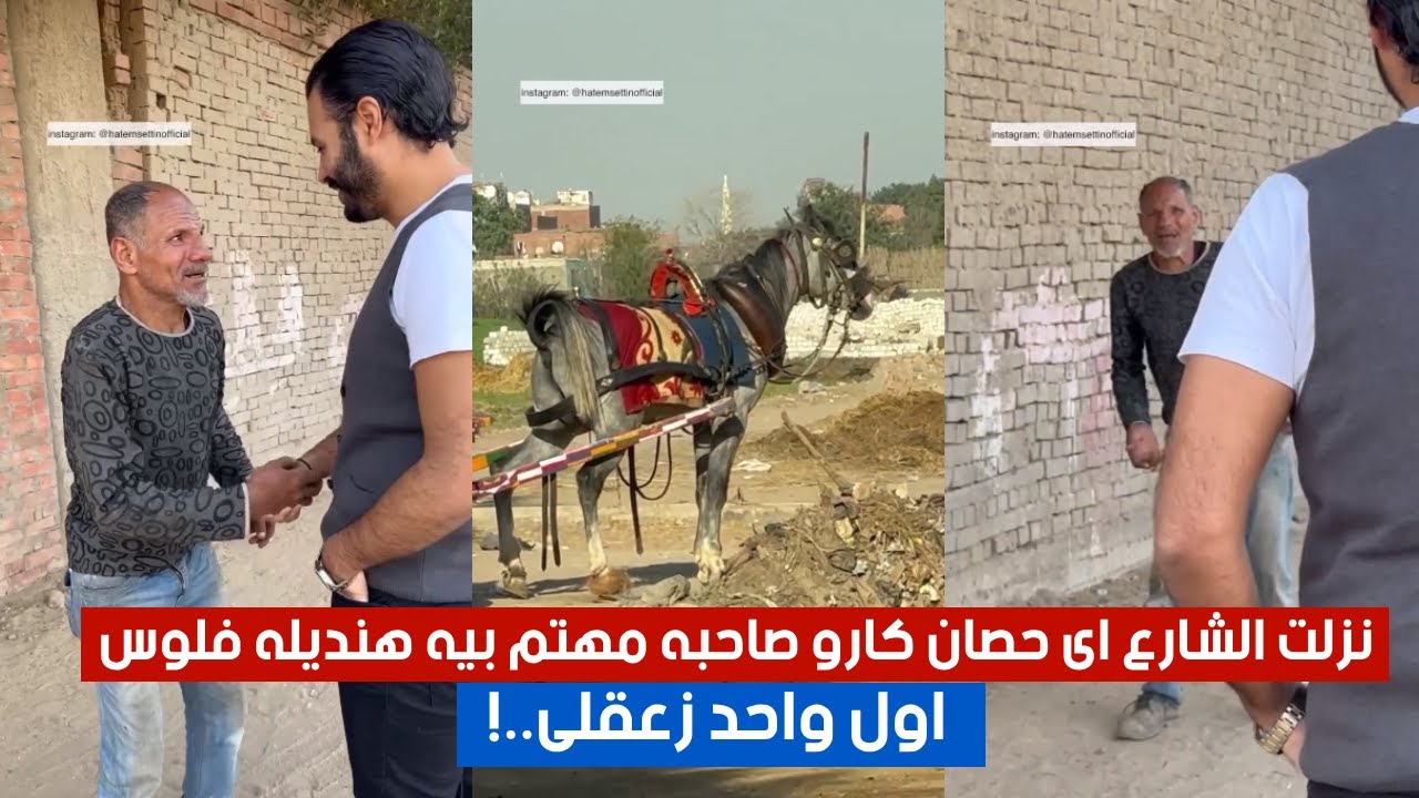 نزلت الشارع اى حصان كارو صاحبه مهتم بيه هنديله فلوس.. اول واحد زعقلى  | #ارحم_تكسب