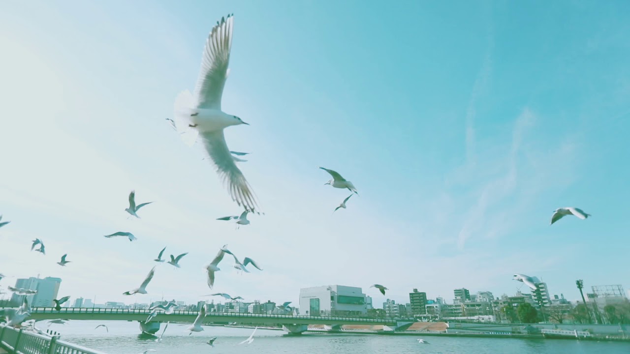 「未知」MV／Claíomh Solais〜クラウソラス〜