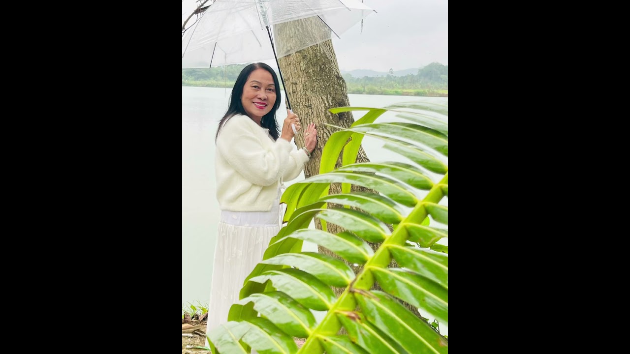 Đón Xuân. Vườn Nhà Bạn Lan Hương. #DieuHuyenLe