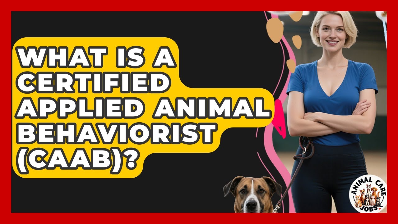 What Is A Certified Applied Animal Behaviorist (CAAB)? - Animal Care Jobs