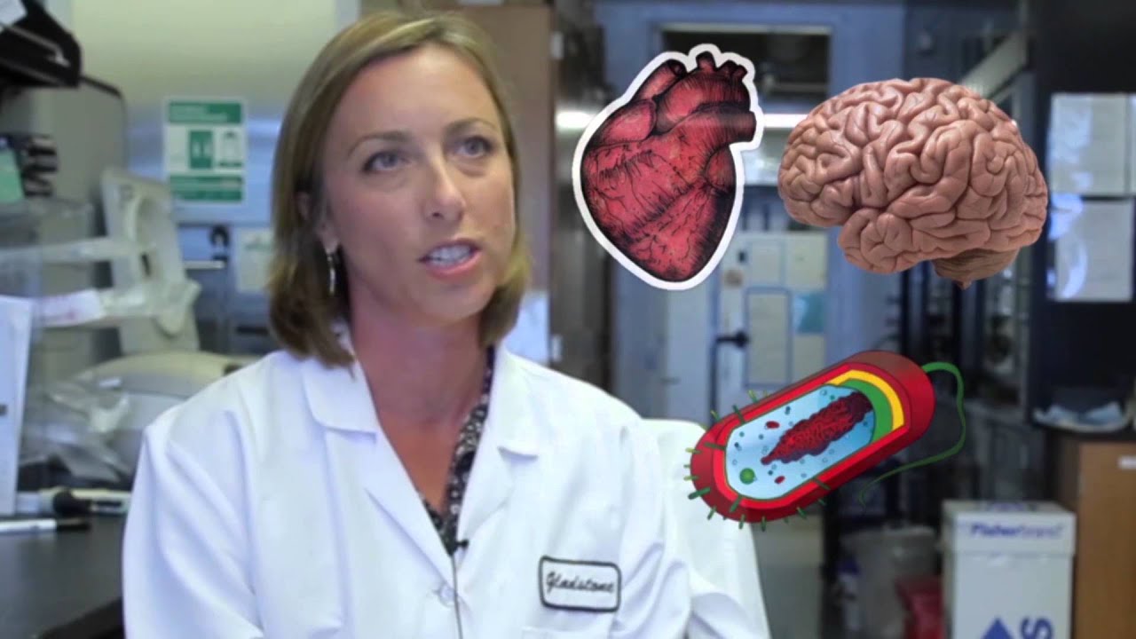 Be a Medical Scientist and Change the World