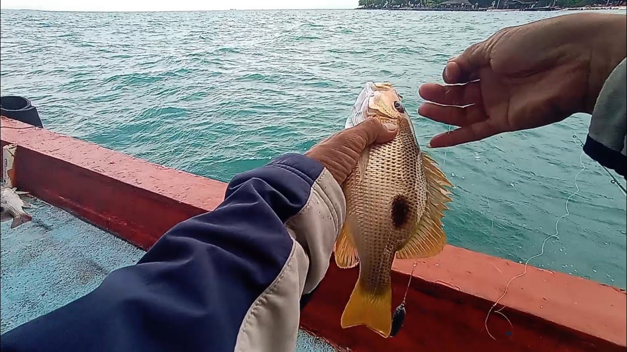 PESTA STRIKE.!! RUMPON RAHASIA KAPTEN HERI KAMAL MUARA