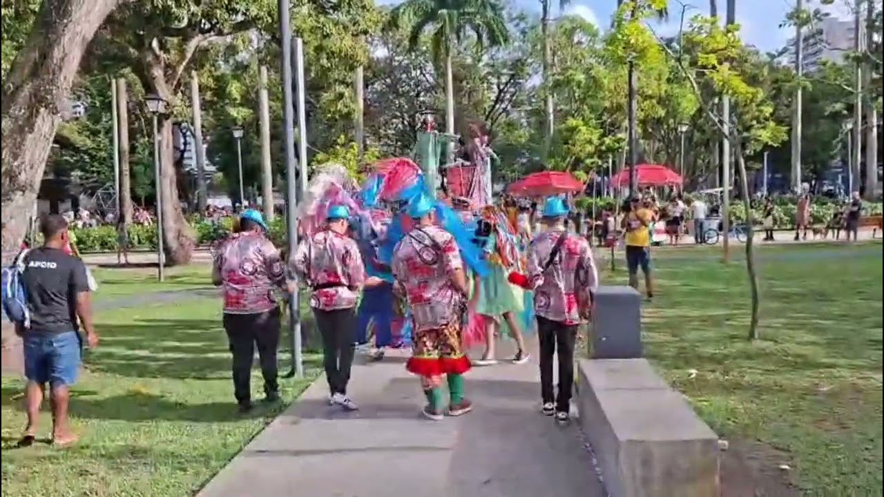 BOI DE CARNAVAL BOI PINTADO  - FCCR TAMARINEIRA - 2026