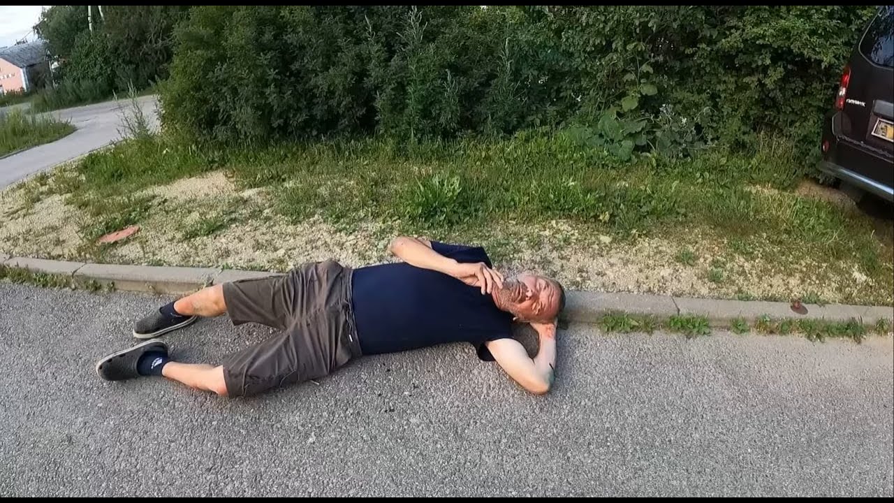 Владыка с Мамой, поехали в город. Летучий голландец голодает, Сечин начальник, Кормим бродяжек'