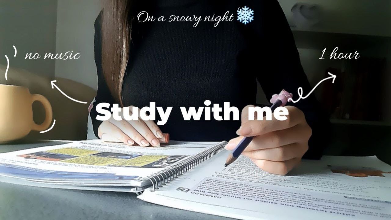 Snowy Night Study With Me ❄️ | 1 Hour, No Music, No Breaks