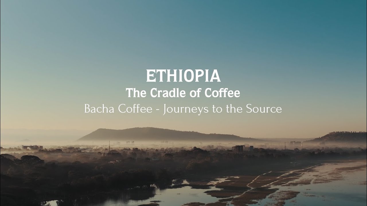 Bacha Coffee | Journeys to the Source, Film Series: Ethiopia, The Cradle of Coffee