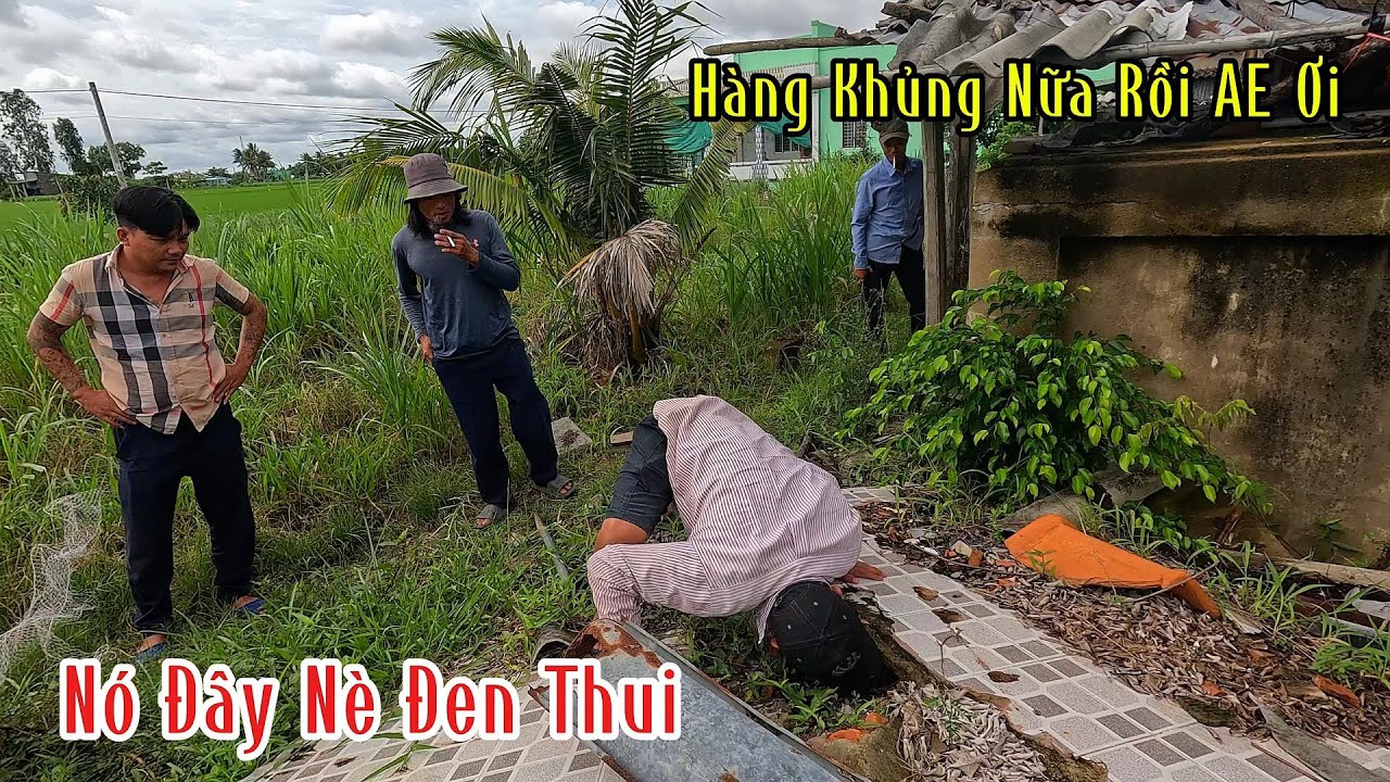 Nhận Tin Báo Khẩn : Giúp Đỡ Người Dân Chinh Phục Cặp Hổ Đất Đen Bóng Loại Đại | Mười Thương Săn Bắt