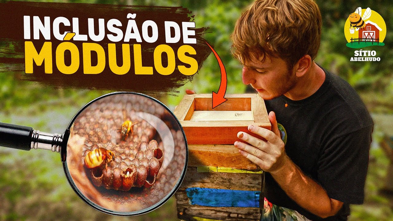 INCLUSÃO DE MÓDULOS no Sítio abelhudo 🐝🏡