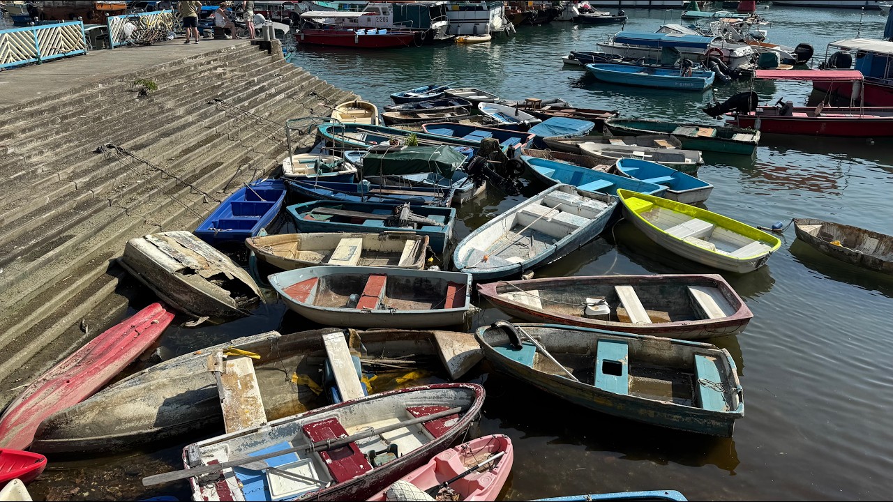 Sai Kung, Nov 2025