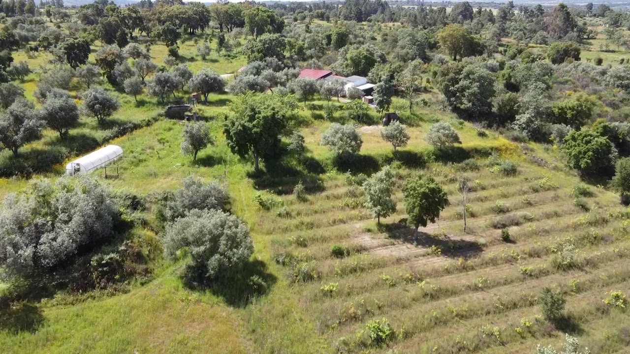 Off grid farm in Central South with 8.000sqm / € 43.500 / centralportugalnatural@gmail.com