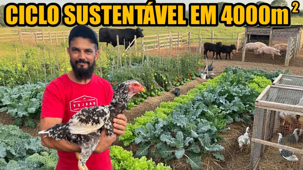 EM 4 MIL m2 ELE TEM SÍTIO AUTOSSUFICIENTE 