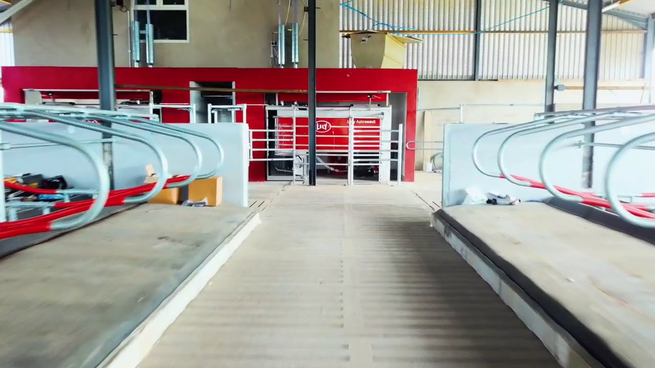 120 Cow New Robotic Lely Dairy