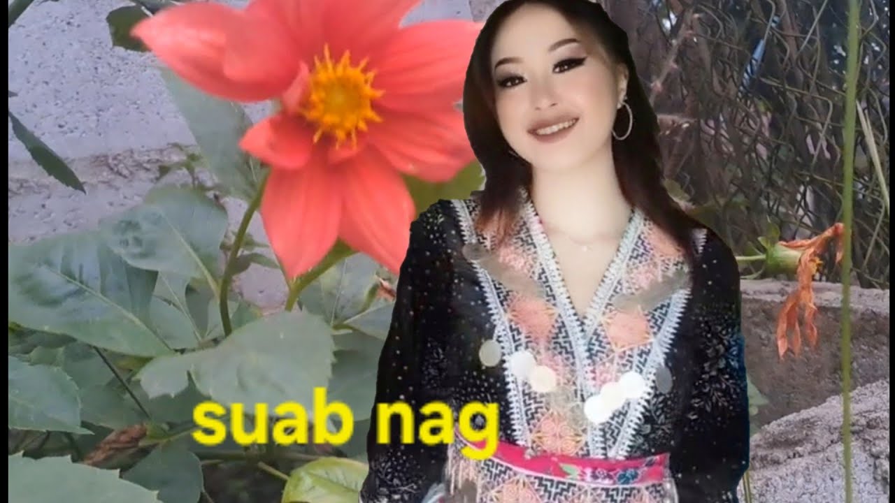 Lawv 3leeg aim kuv6teg daig daigpob zoonyob heev.3/1/2026.
