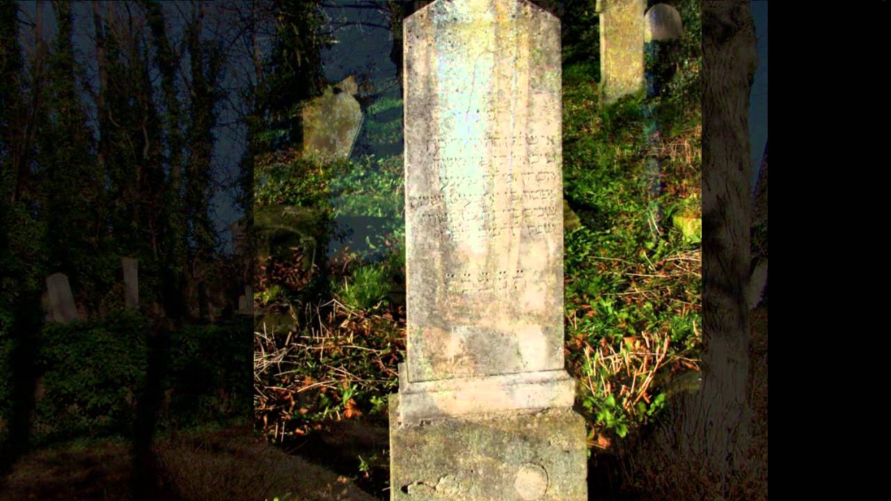 Jewish cemetery in Gartz. Cmentarz żydowski w Gartz