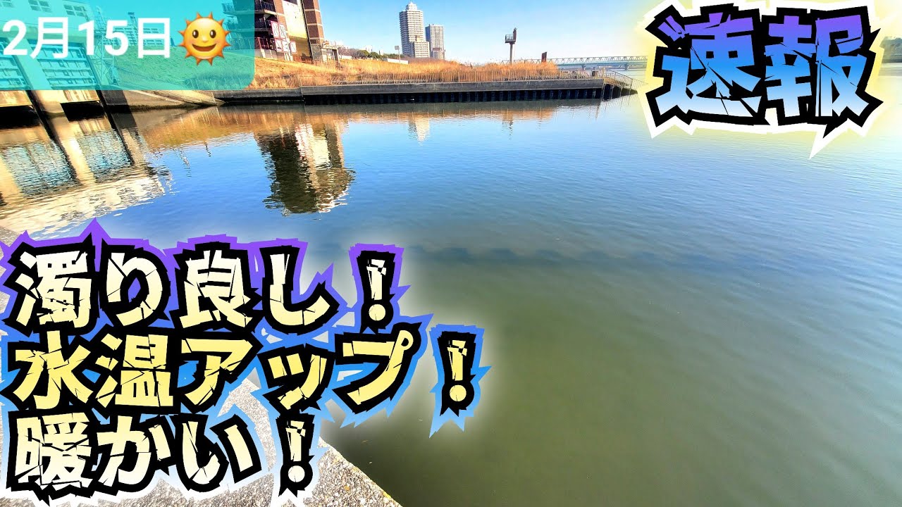 【超速報】湾奥荒川シーバス&チニング情報 濁りも良し！水温も、