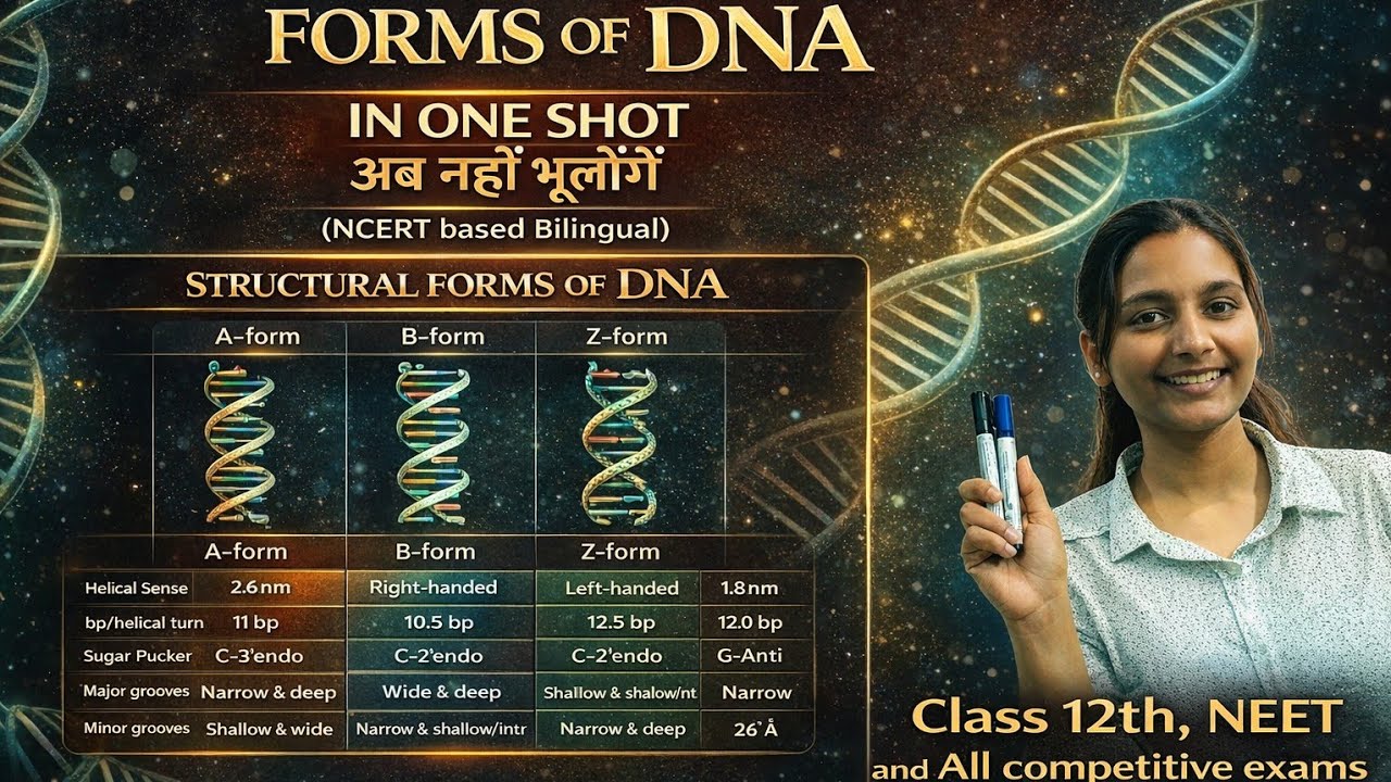 Structural forms of DNA | Comparitive study of Different forms of DNA | Neet | CSIRNET| Biology 🦠🧬🎯💯