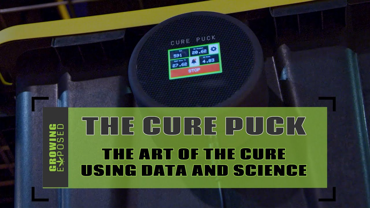 Cure Puck | The Art Of The Cure, Using Science by Twister Technologies
