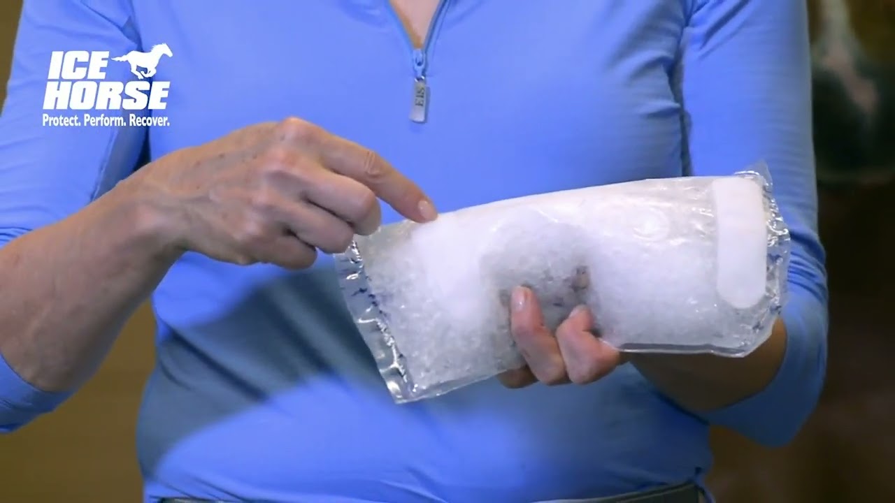 How to Use Ice Horse Hock Wraps