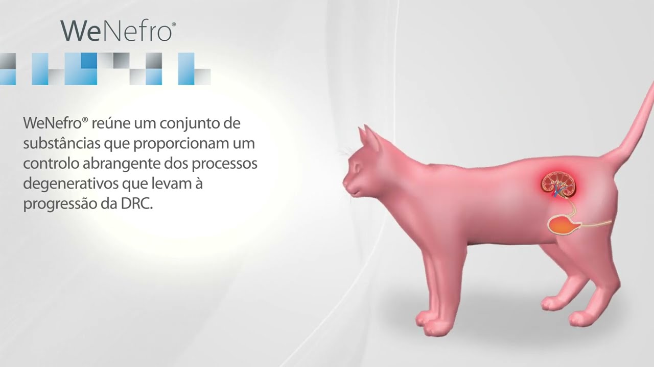 Wepharm | WeNefro