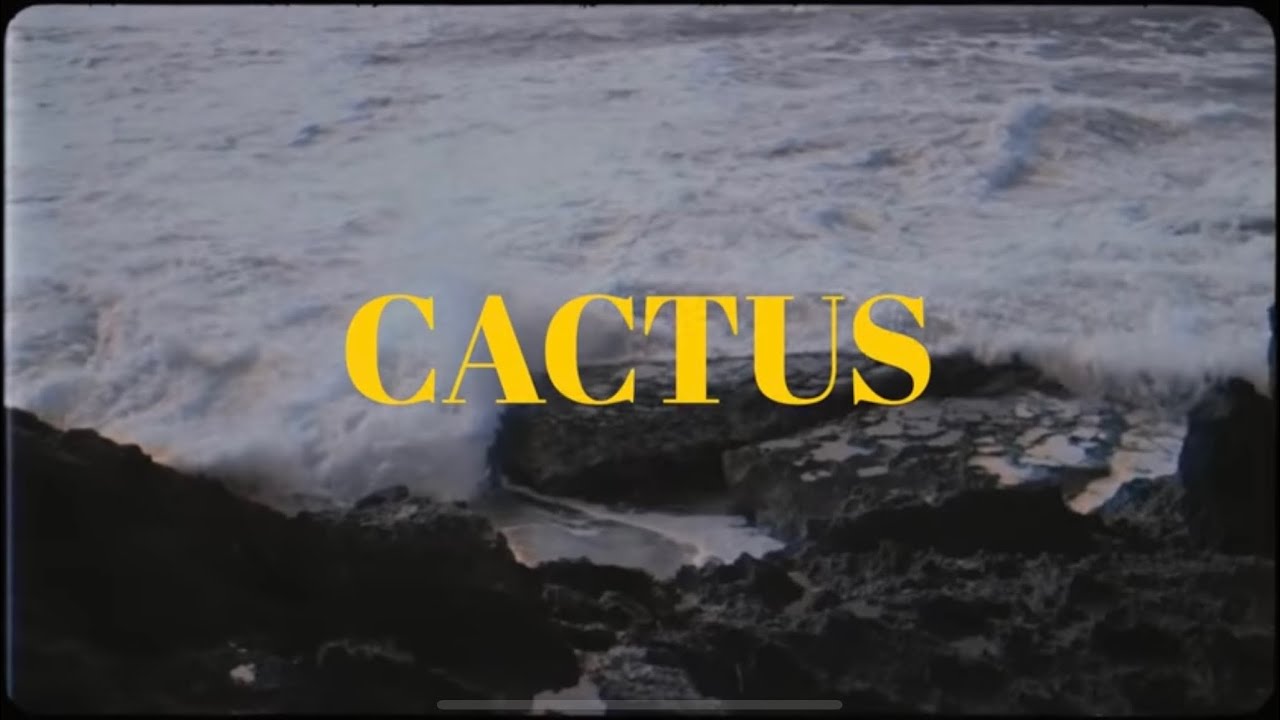 Raste - Cactus (Official video) Prod by Joseph x Jonas