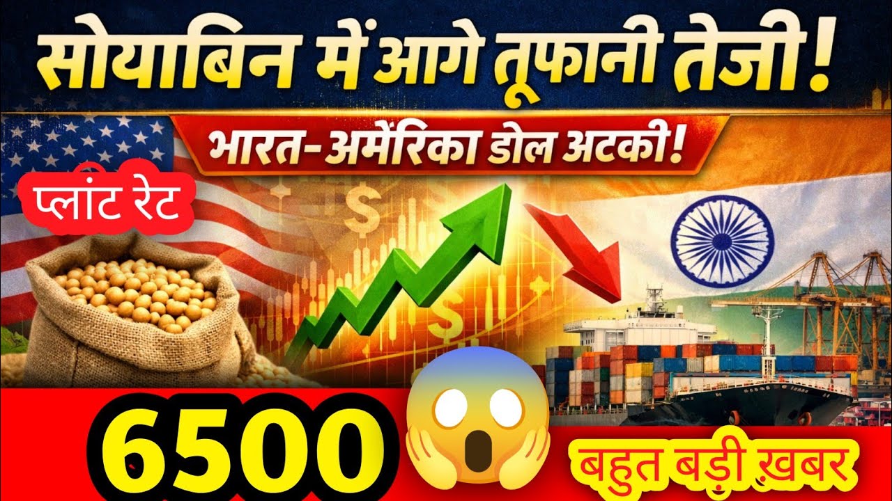 सोयाबिन मे आगे तूफानी तेज़ी, अमरिका भारतीय डील अटकी आयात निर्यात संपूर्ण जानकारी 