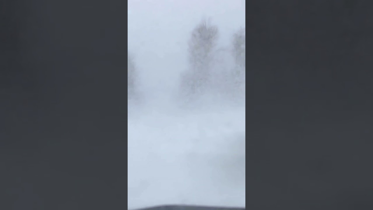 Snow Day! Great day for exploring!