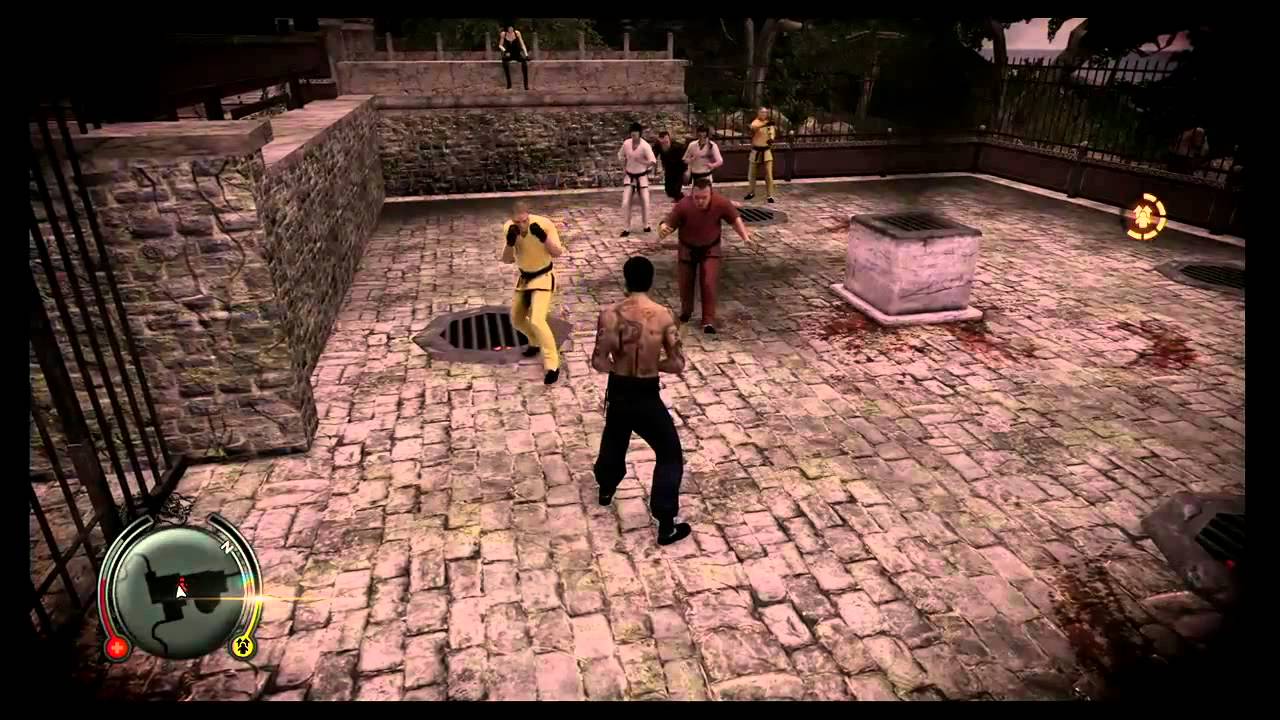Quick Look: Sleeping Dogs: Zodiac Tournament