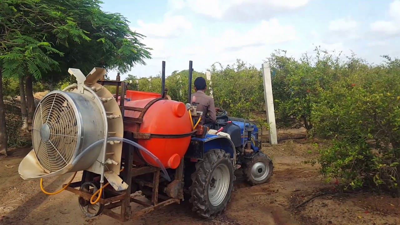 Pomegranate Farm Visit