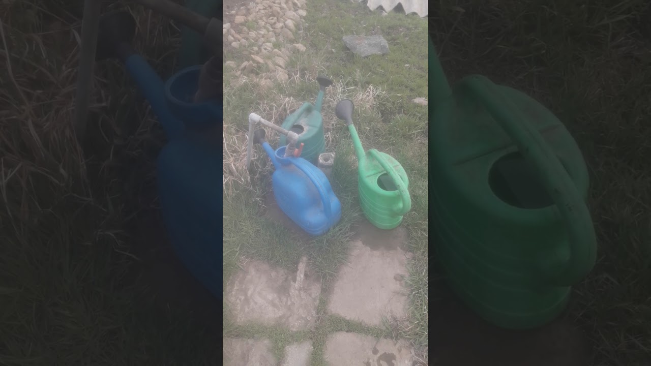 First watering  #gardening #watering #garden