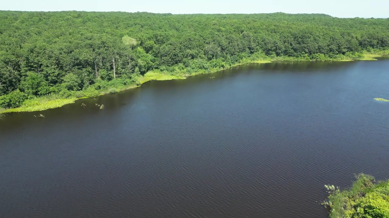 İĞNEADA HAMAM GÖLÜ NİLÜFERLER YAKIN ÇEKİM.🙏💐#iğneada #hamamgölü #nilüferçiçeği #drone #dronefootage