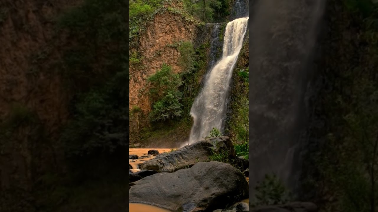 nature,nature documentary,nature sounds,4k nature,nature in 4k,mother nature,free docries