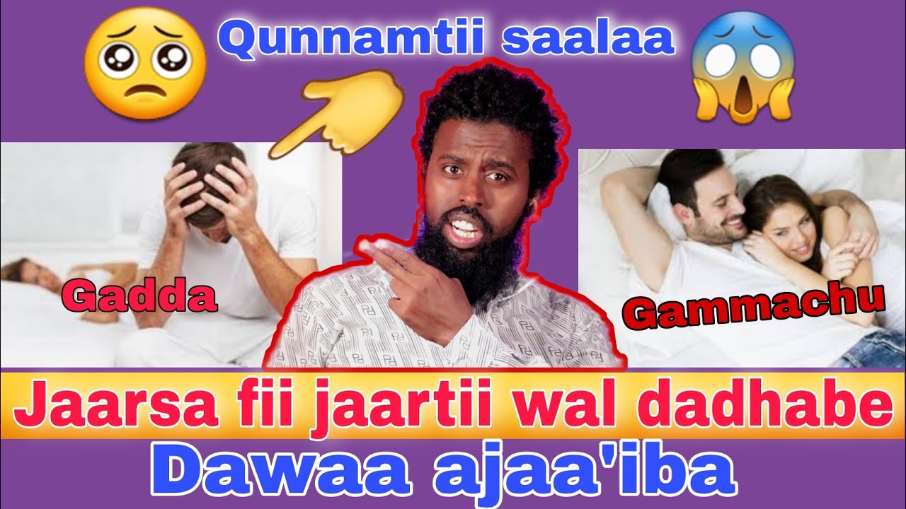 dadhabina fedhii qunnamtii saalaatiif dawaa