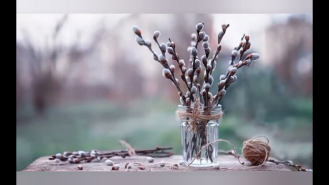 Ознайомлення з природним довкіллям. Тема: