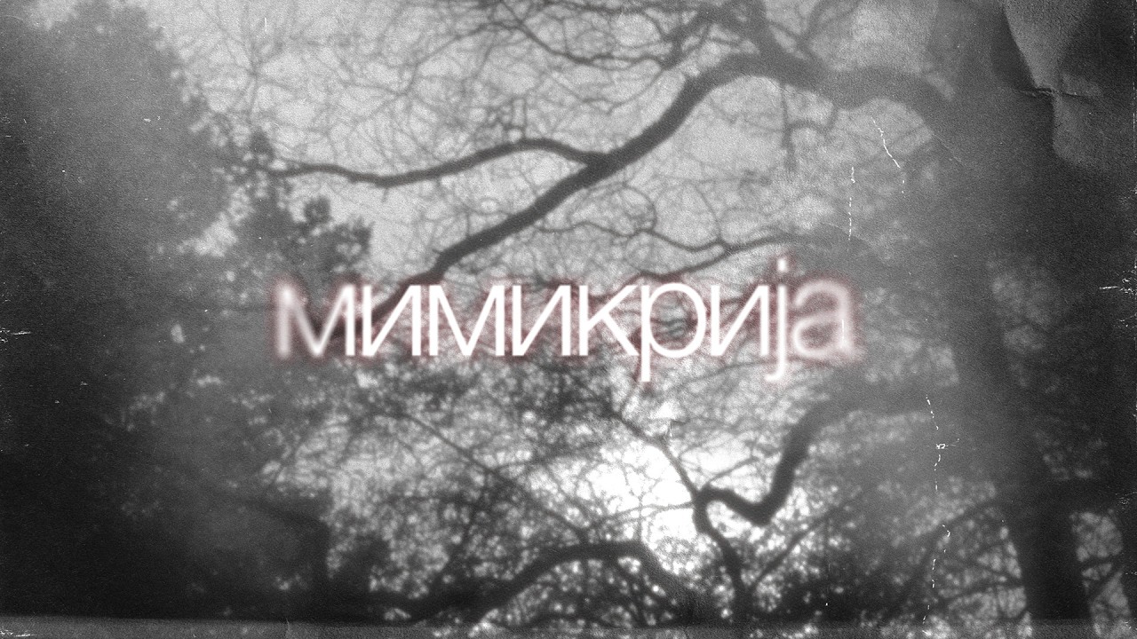 ATA - МИМИКРИЈА ( Official lyrics visualizer )