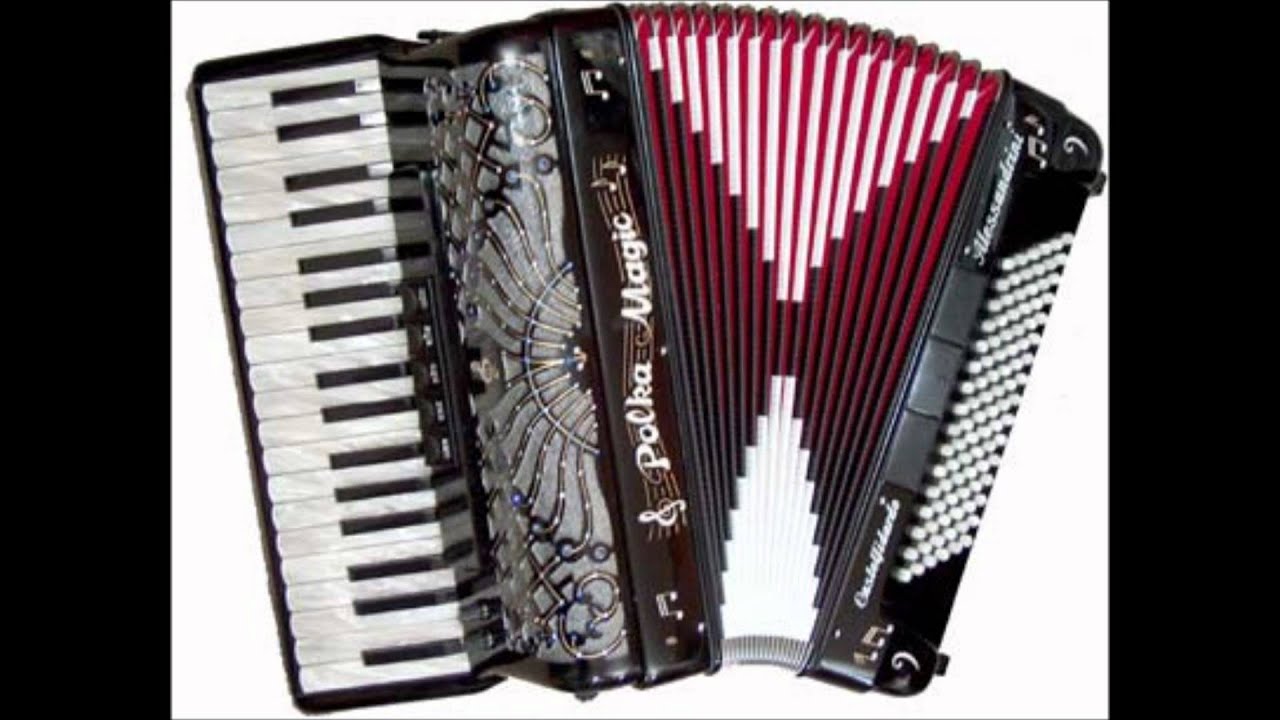 Belvauer Jonge - Schwarze Amsel polka