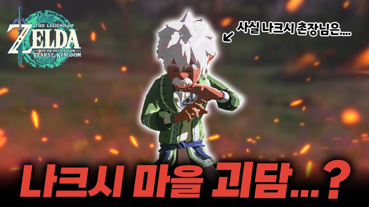 나크시 마을에는 촌장님이 없다....? [젤다 왕눈 도감 100% 도전]