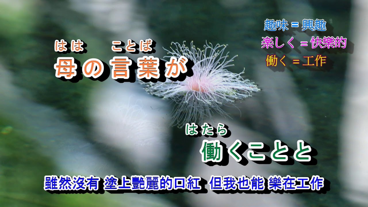 雪中花  島津亜矢さん  字義版