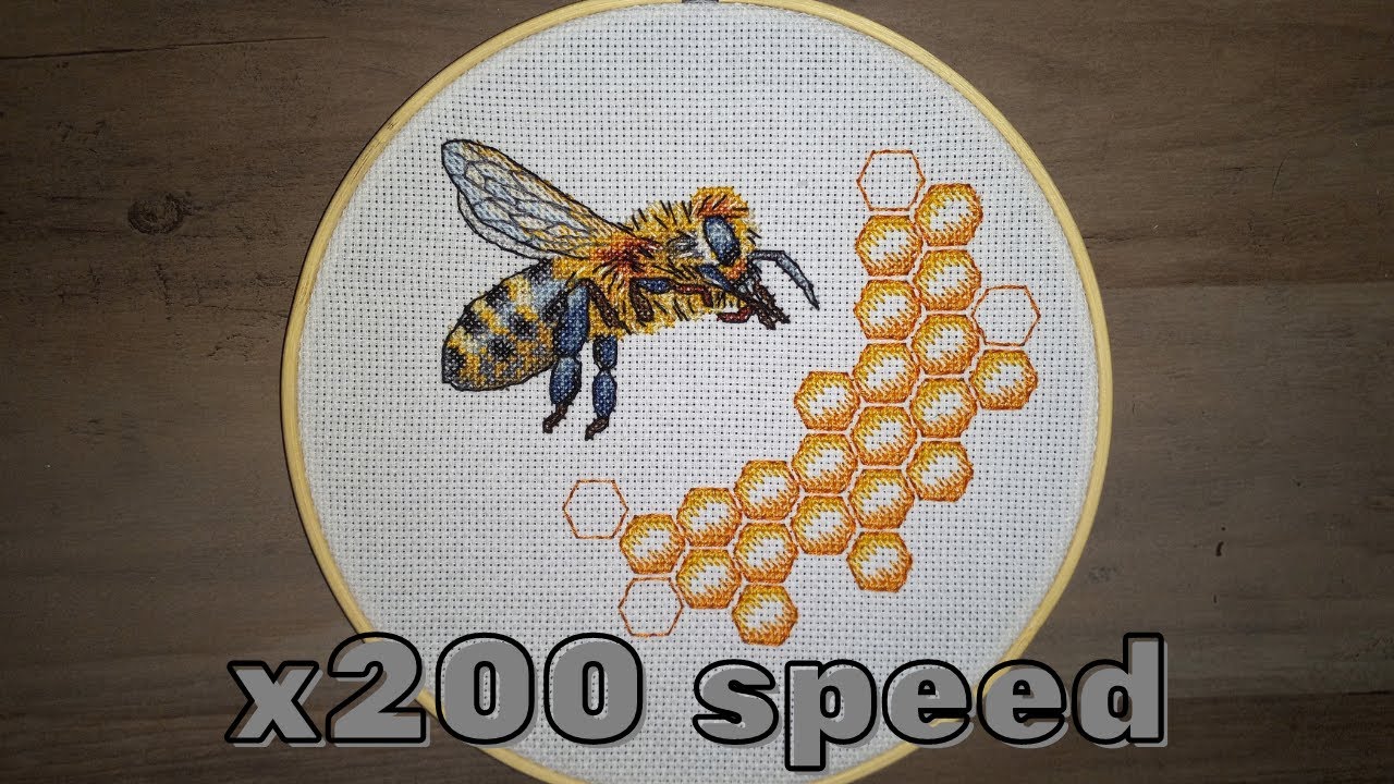 Honey Bee Timelapse Cross Stitch Flosstube
