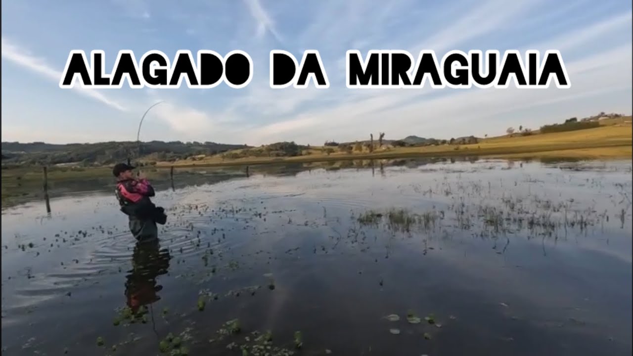 PESCA DE TRAÍRA no alagado da Miraguaia #pesca